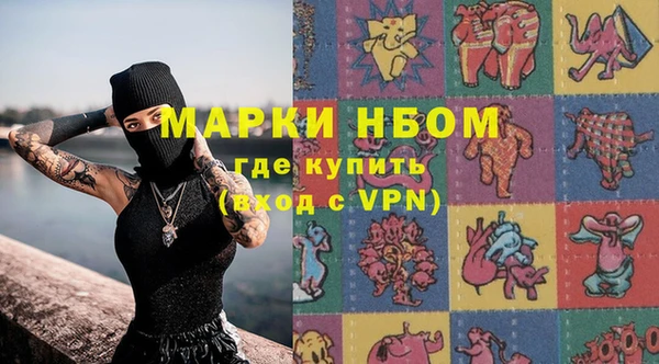 прущие грибы Баксан