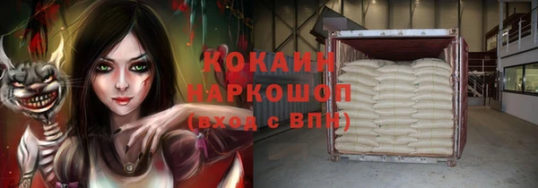 прущие грибы Баксан