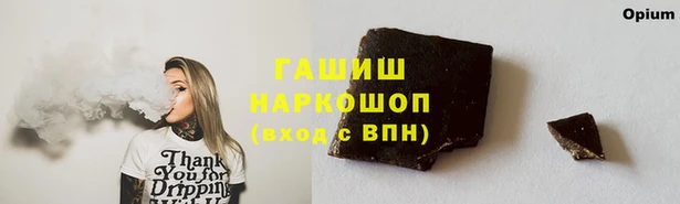 прущие грибы Баксан
