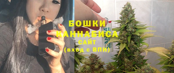 прущие грибы Баксан