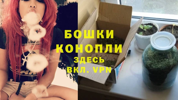 прущие грибы Баксан