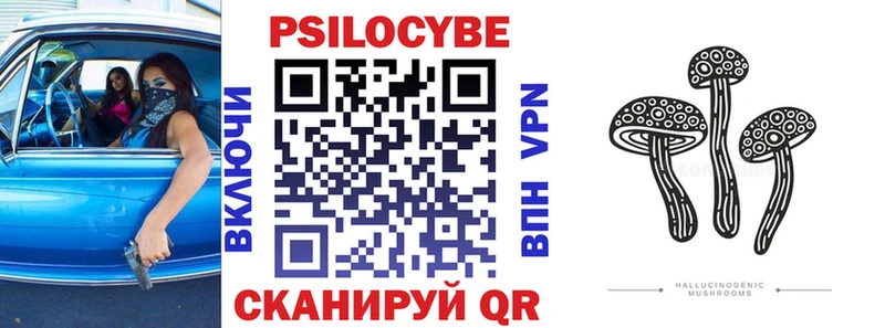 МЕГА мориарти как зайти Волгореченск Псилоцибиновые грибы Psilocybe продажа наркотиков